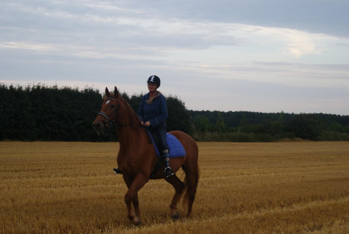 Anden særlig race Theo billede 5