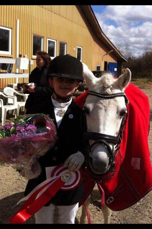 Anden særlig race Frederikke - cup-mester 2012 billede 3