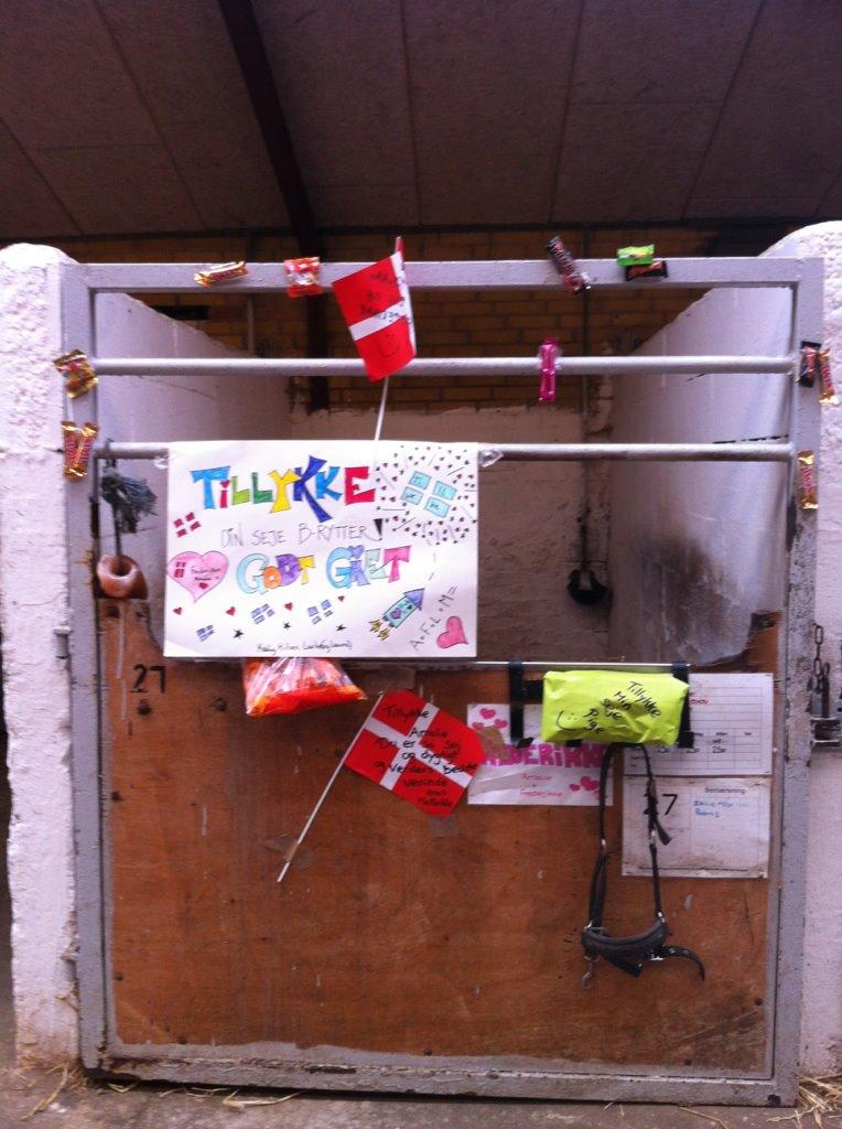 Anden særlig race Frederikke - B-rytter og pony 2013 billede 5