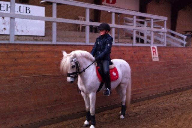 Anden særlig race Frederikke - min dejlige tøs<333 billede 7