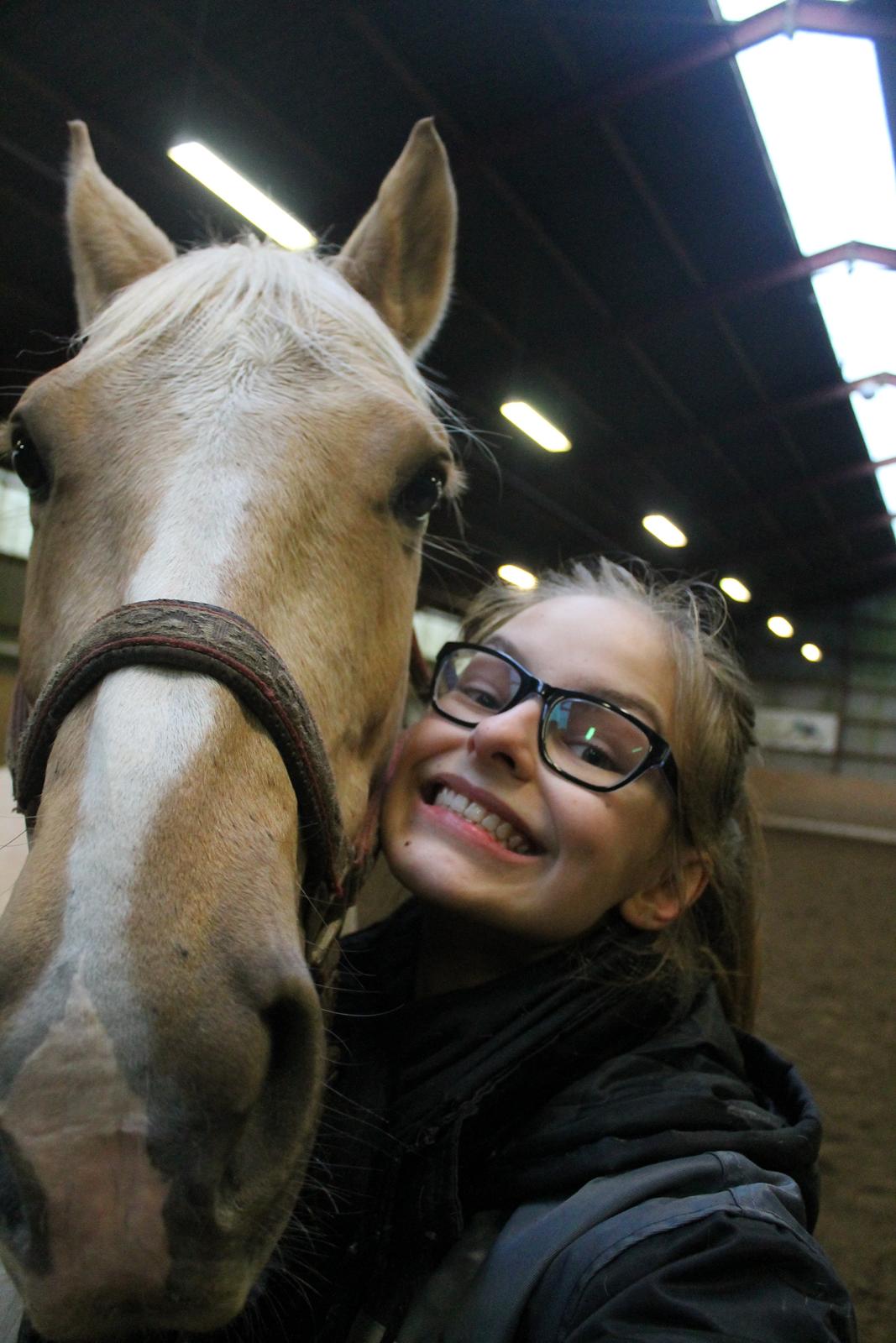 Palomino Rudolph's Cheyenne - "It's never not time for a selfie" billede 9