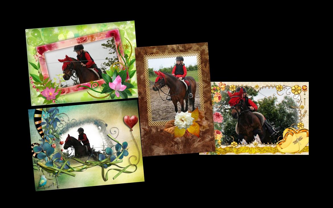 Dartmoor Mille Musen. ..solgt billede 11