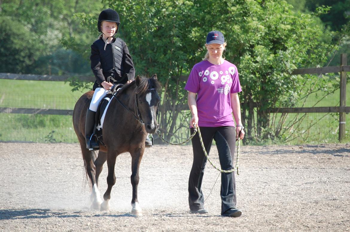 Anden særlig race Sorteper - Et et dressru billede fra samme dag billede 10