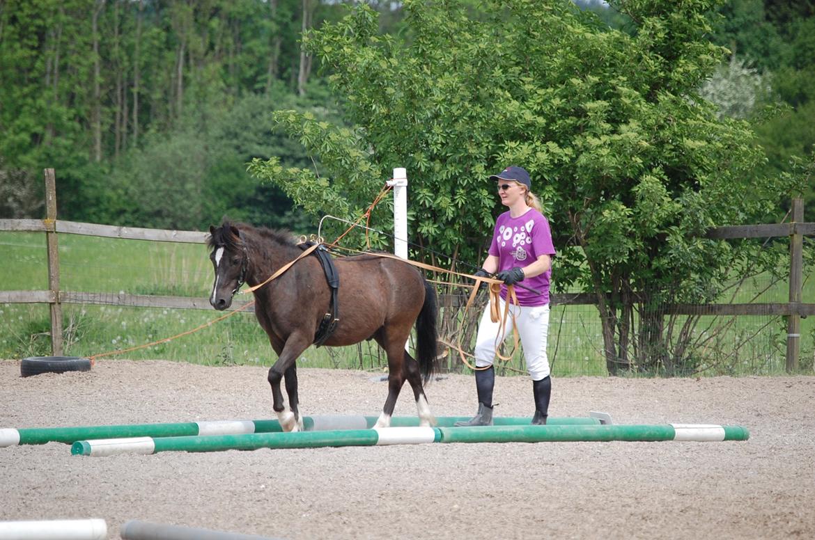 Anden særlig race Sorteper - På vej igennem smal passage, og han er virkelig med på at det her er sjovt. Så dejligt at se hvor fokuseret han er :) billede 16