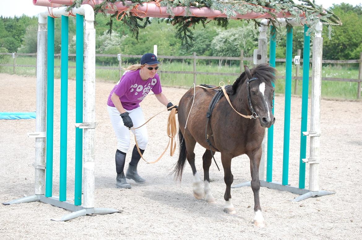 Anden særlig race Sorteper - Og under grene, nu er vandgraven heldigvis overstået :D billede 18