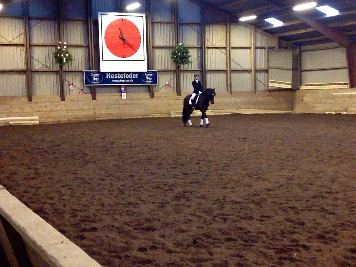 Anden særlig race Dumle<3  billede 9