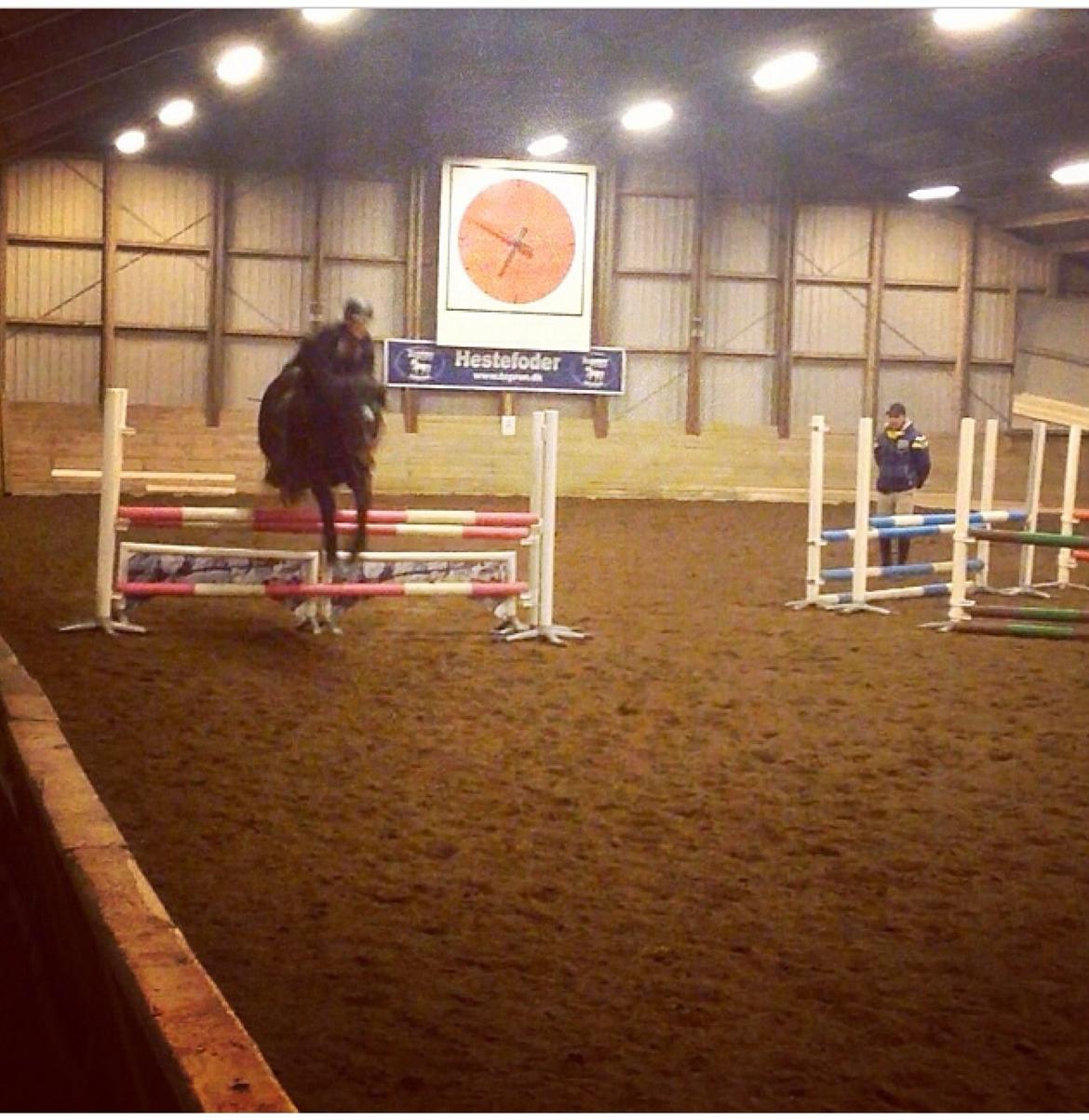 Anden særlig race Dumle<3  billede 10