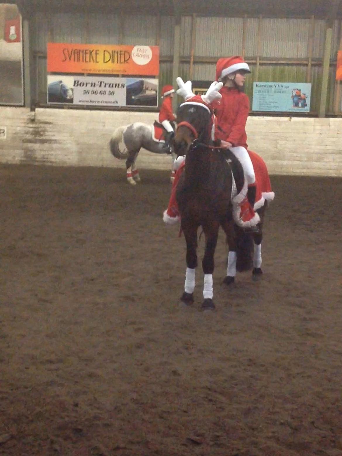 Anden særlig race Dumle<3  billede 11