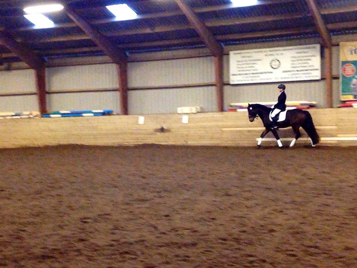 Anden særlig race Dumle<3  billede 12