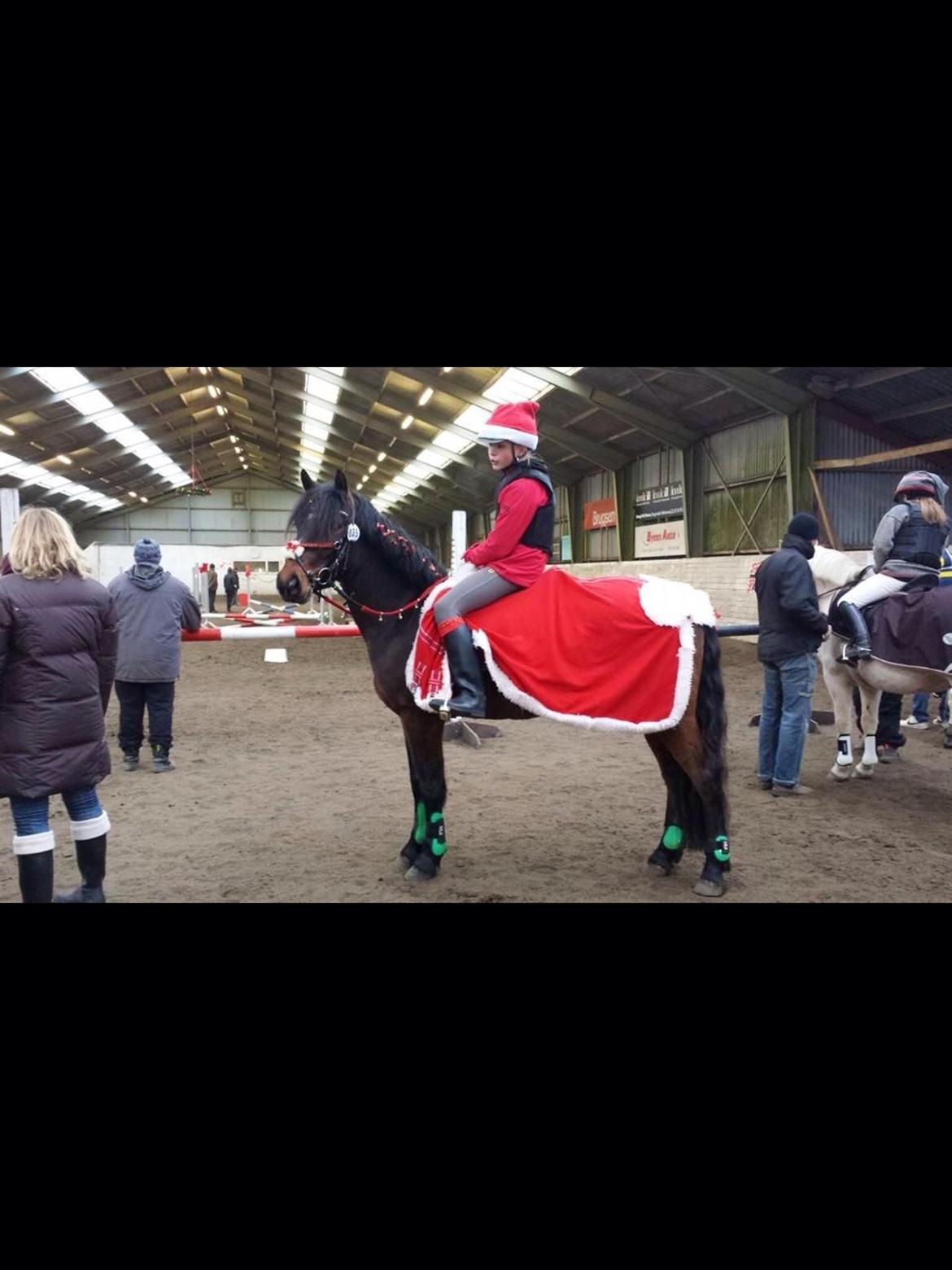 Anden særlig race Dumle<3  billede 13