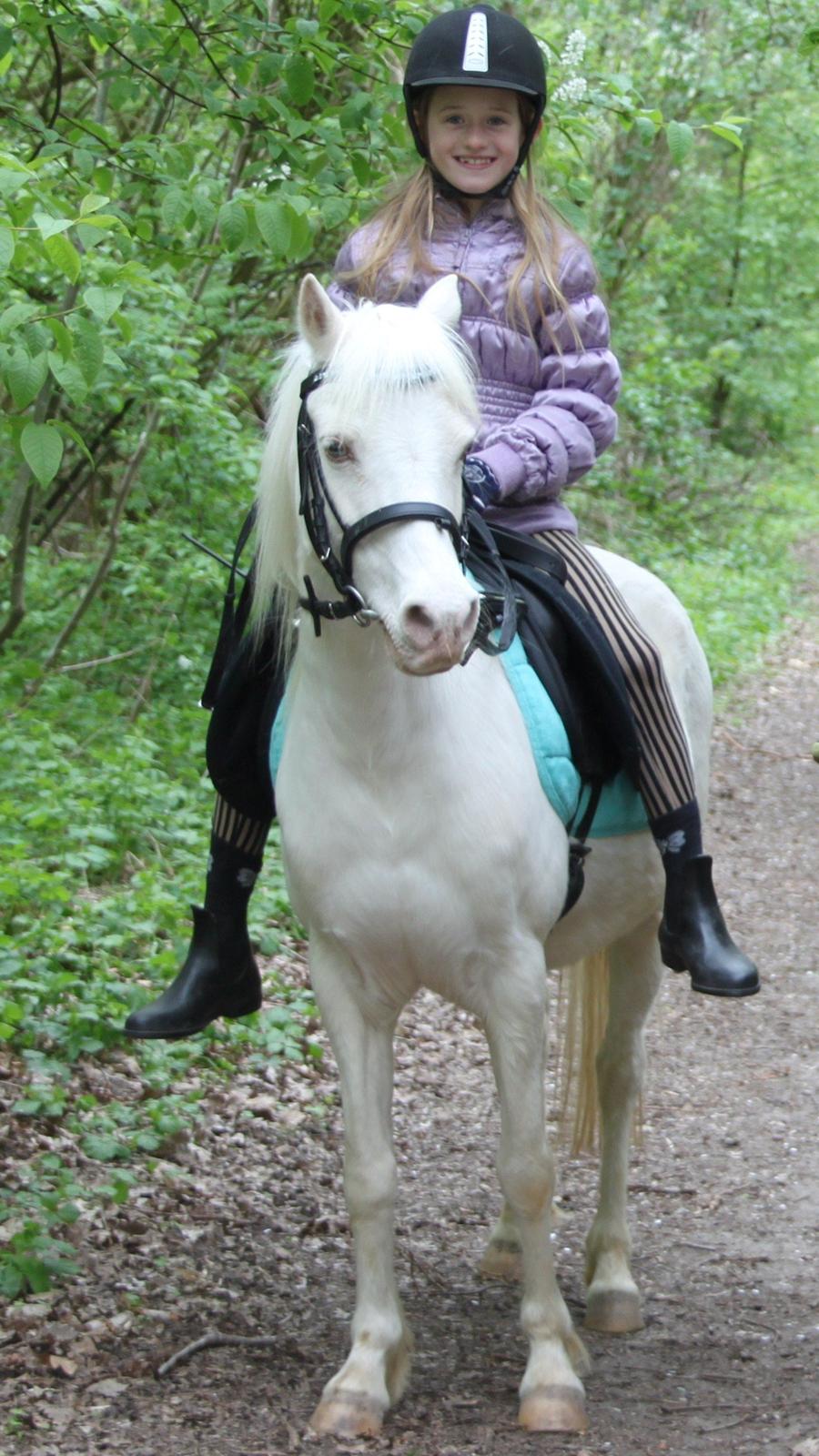 Anden særlig race Perle - På tur i skoven billede 9