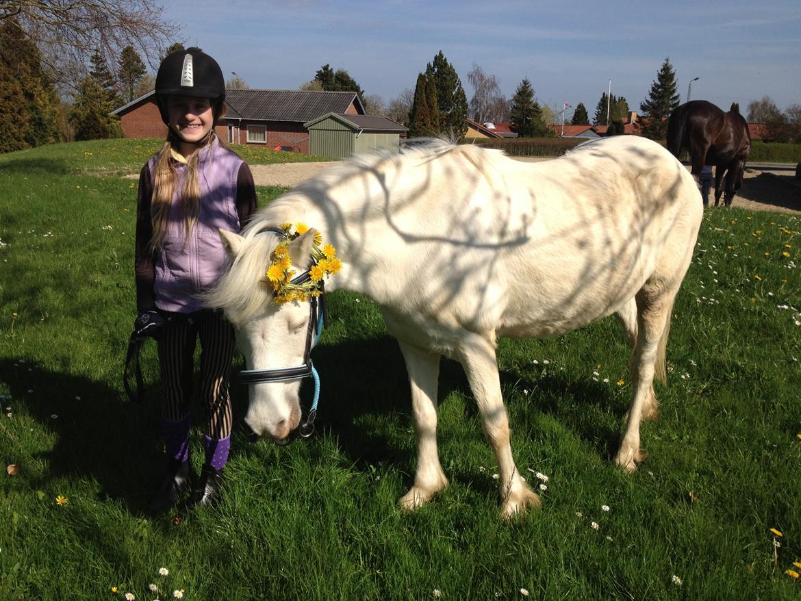 Anden særlig race Perle - Se min fine mælkebøttekrans! billede 10