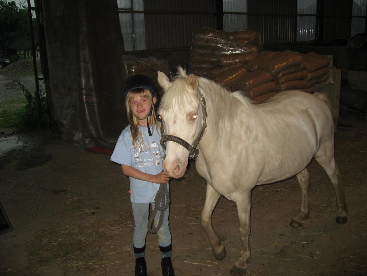 Anden særlig race Perle - Så er Perle for første gang på vej hjem til mig :D - 2010 billede 3