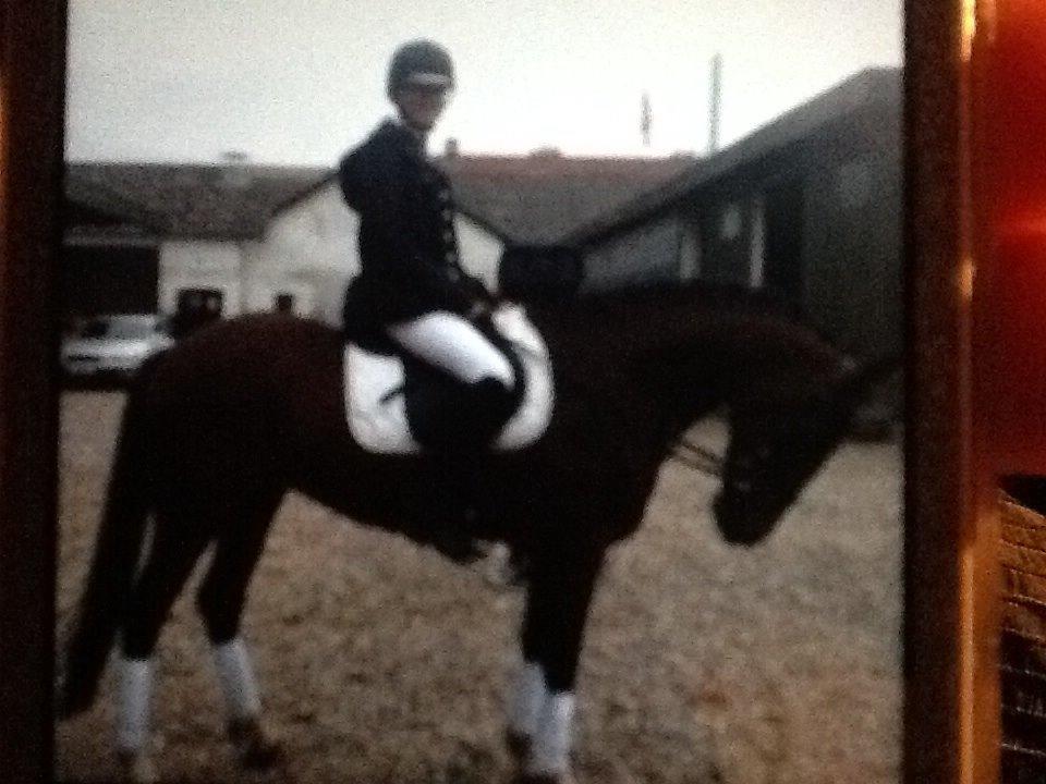 New Forest nicky billede 23