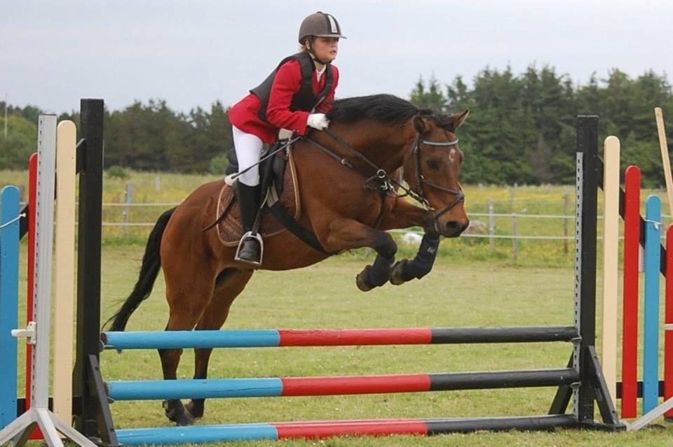 New Forest ORCHID'S PETER PAN  billede 19