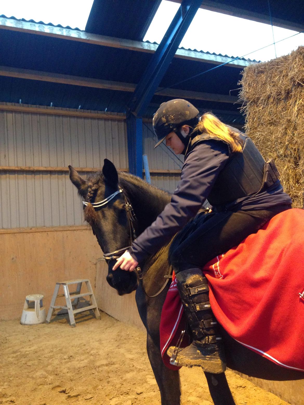 Frieser Karstina billede 17