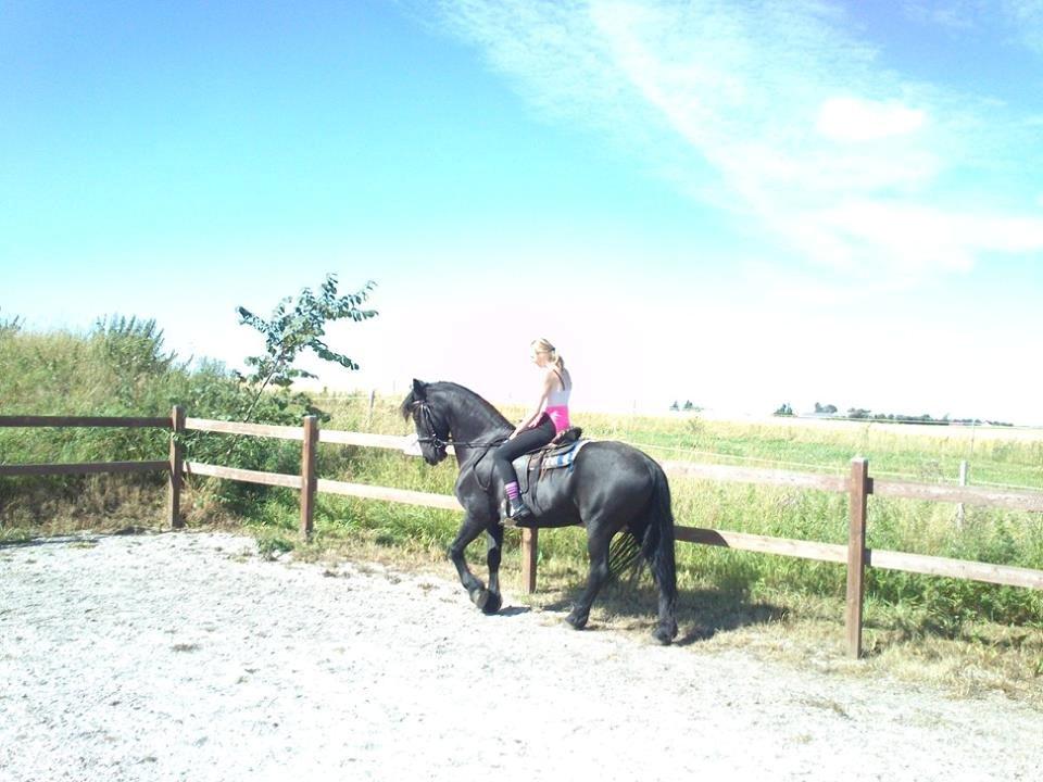 Frieser Maaike Van Nieuw Vels billede 18