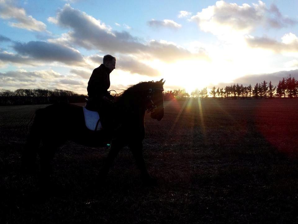 Frieser Nelli ~solgt~ billede 2