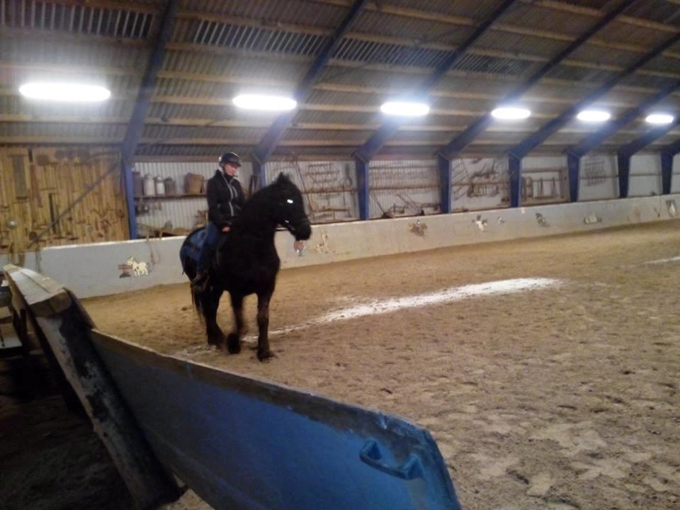 Frieser Nelli ~solgt~ billede 3