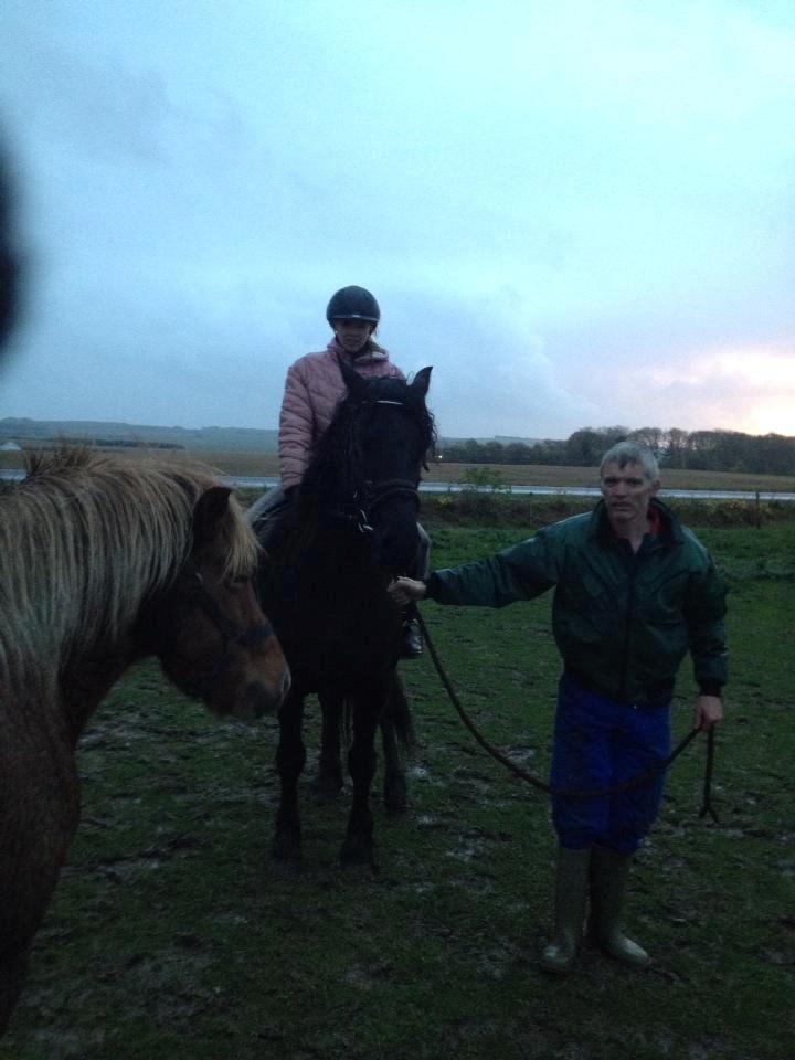 Frieser Nelli ~solgt~ billede 4