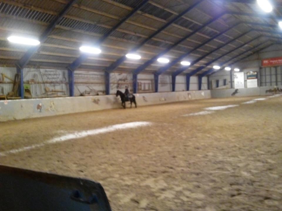 Frieser Nelli ~solgt~ billede 8