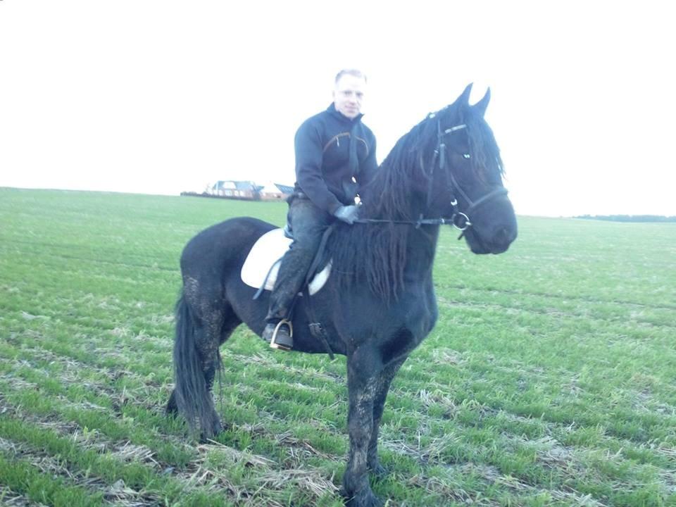 Frieser Nelli ~solgt~ billede 1