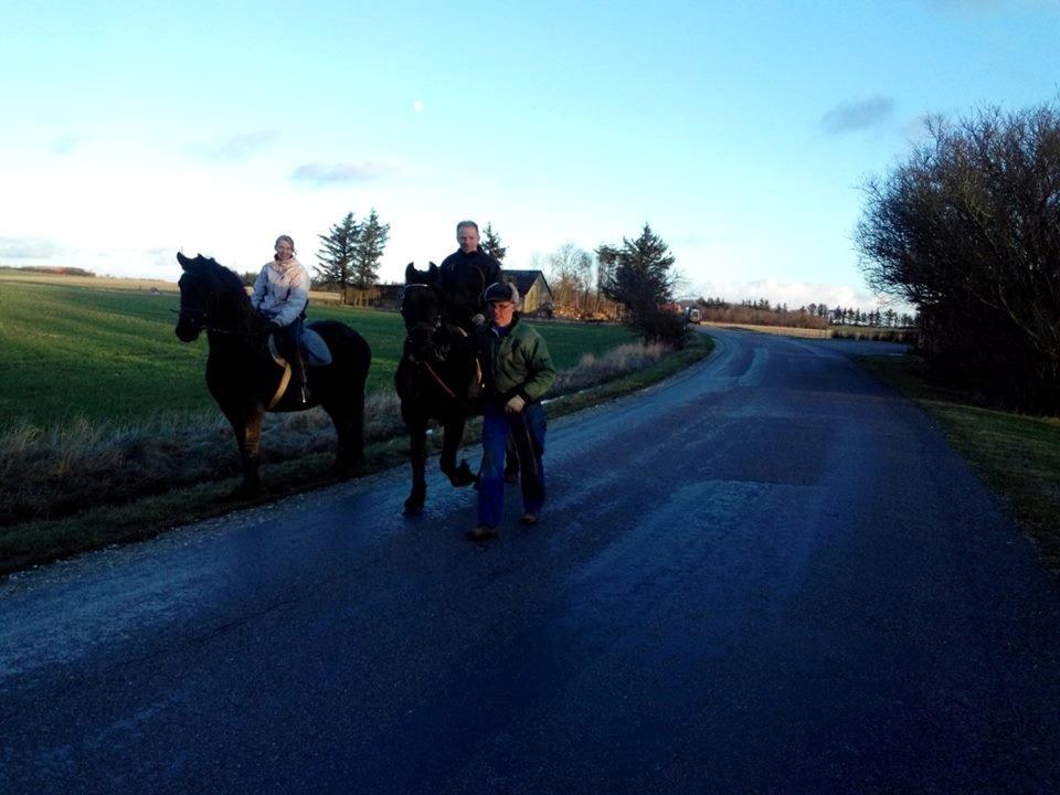 Frieser Nelli ~solgt~ billede 9