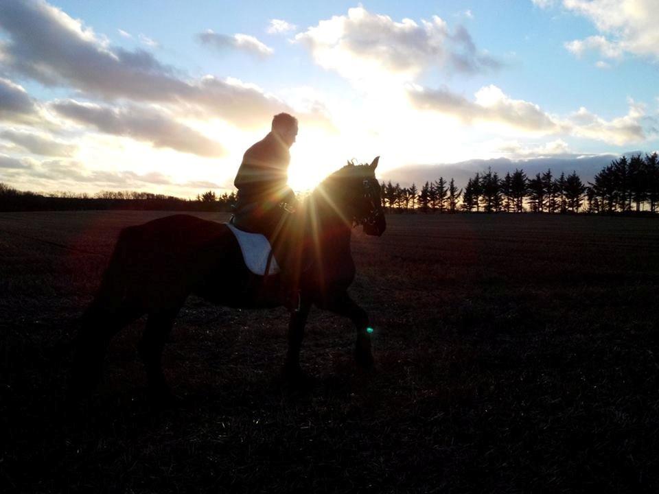 Frieser Nelli ~solgt~ billede 10