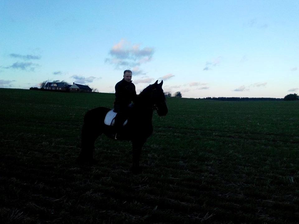 Frieser Nelli ~solgt~ billede 11