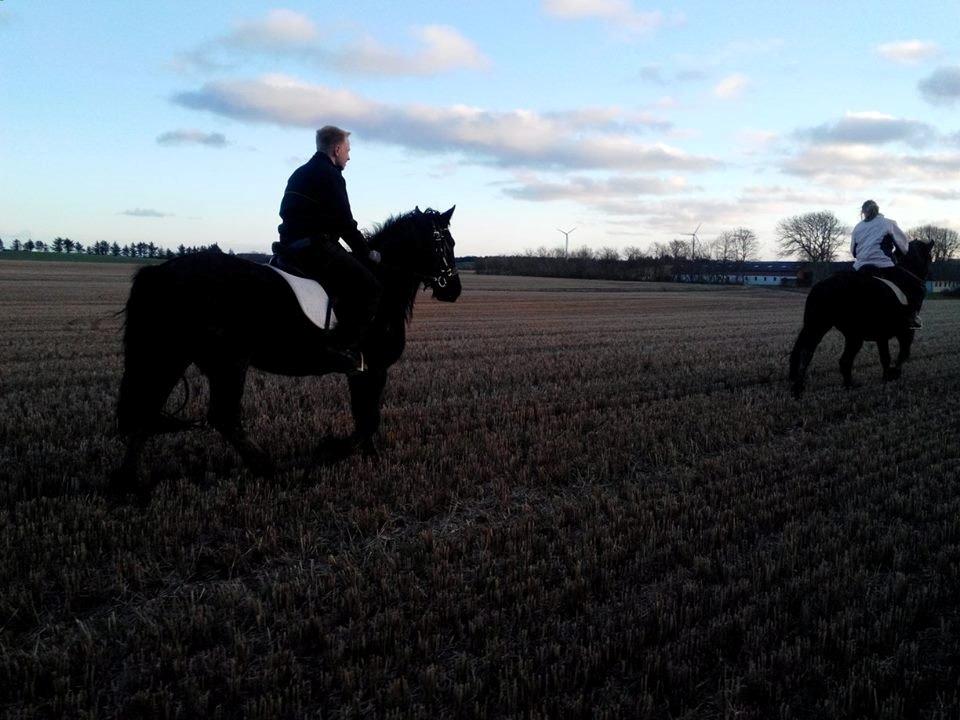 Frieser Nelli ~solgt~ billede 12