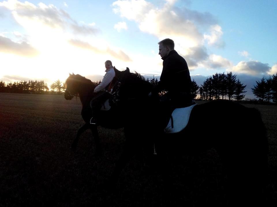 Frieser Nelli ~solgt~ billede 13