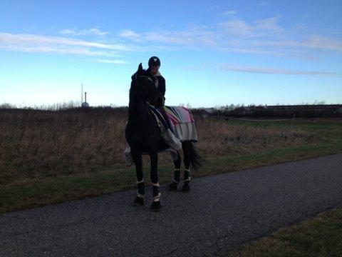 Holstener UNITED <3 billede 7