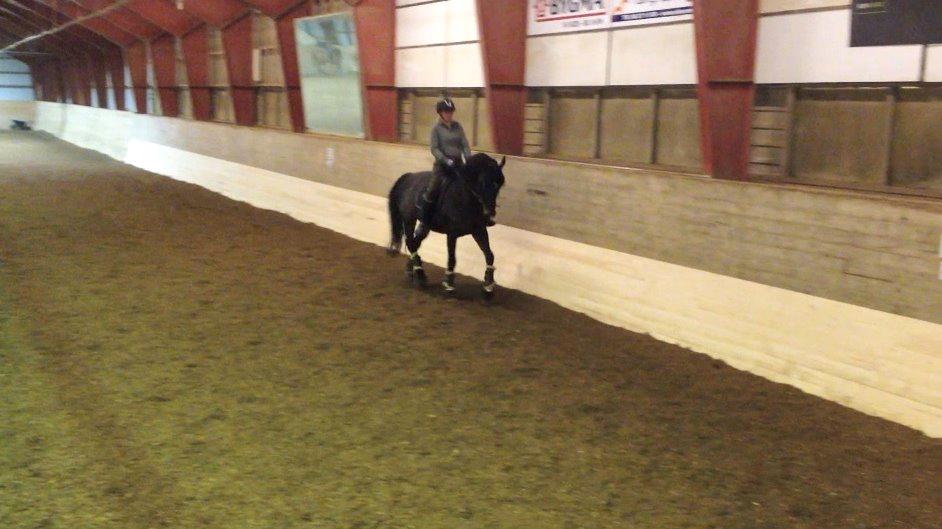 Holstener UNITED <3 billede 8