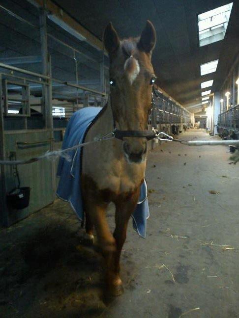 Anden særlig race Mr. Lonely [Der var engang..] - Fra du var sur & indelukket, blev du glad og fræk Jeg elsker dig! :D <3 billede 15