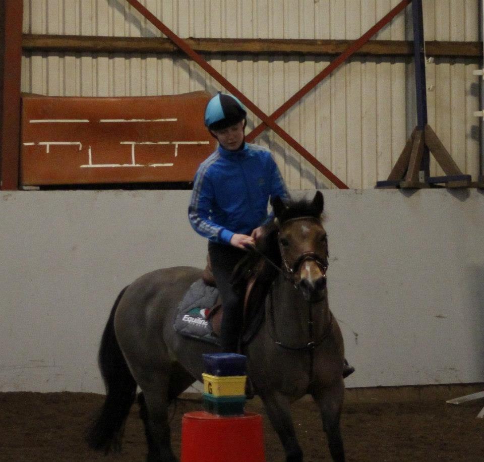 Hollandsk Sportspony Jasmijn billede 21