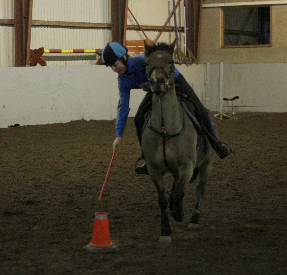 Hollandsk Sportspony Jasmijn billede 32