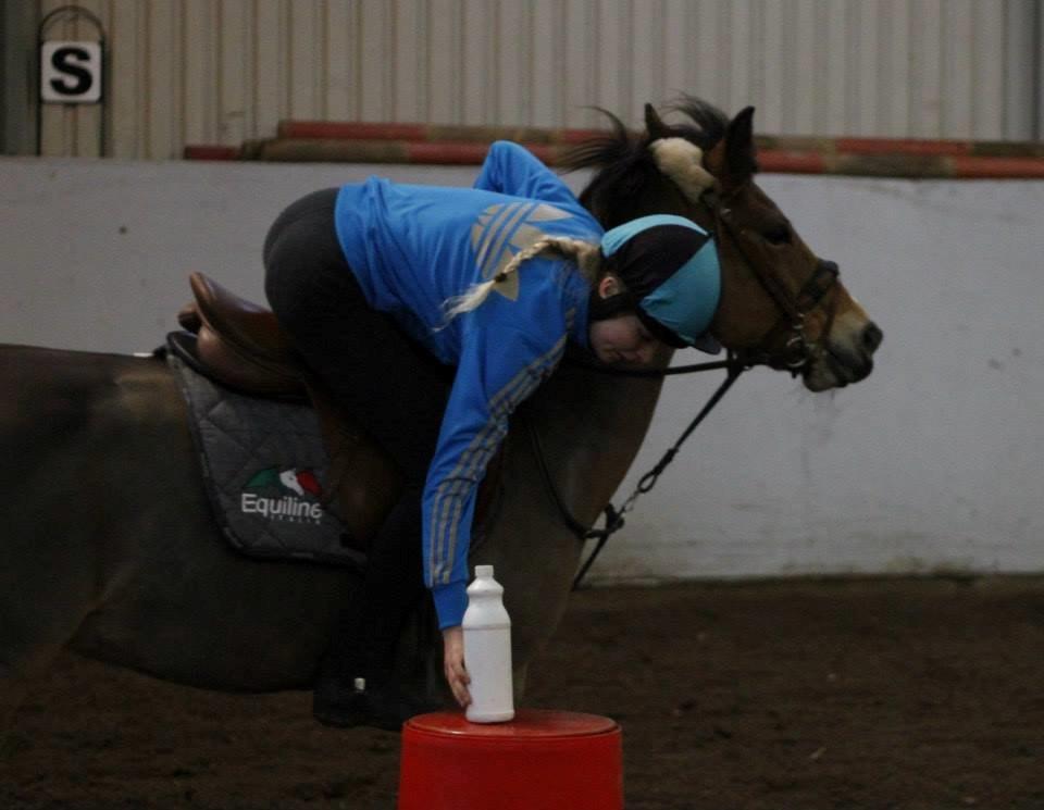 Hollandsk Sportspony Jasmijn billede 13
