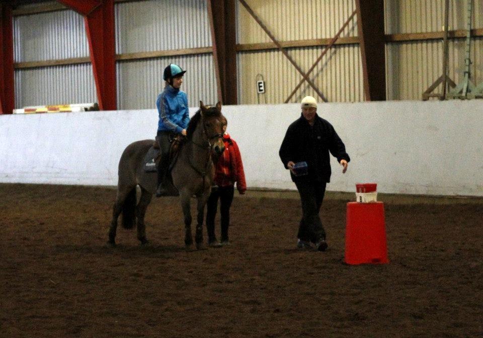 Hollandsk Sportspony Jasmijn billede 25