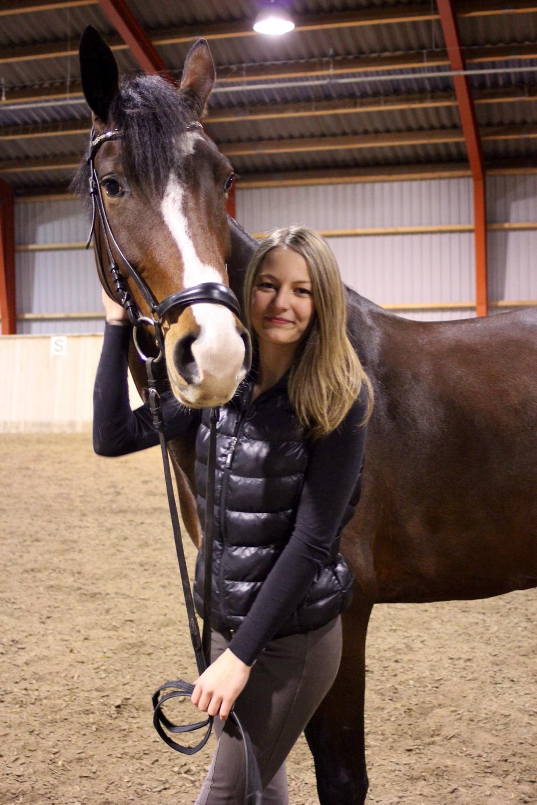 Dansk Varmblod Frydenssangs Altesse billede 5