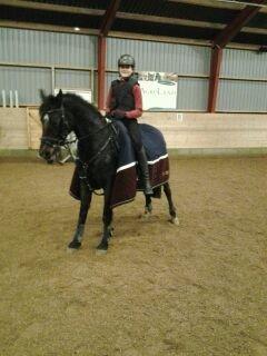 Anden særlig race Dalbæks Power girl. - Først springtræning på Power!<3 billede 1