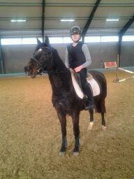 Anden særlig race Dalbæks Power girl. - Da jeg var oppe, og prøve hende, ved stald 88 billede 6