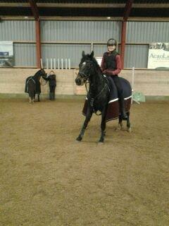 Anden særlig race Dalbæks Power girl. - Tak fordi i kiggede med:) billede 7