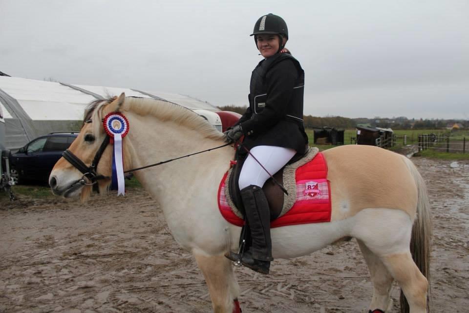 Fjordhest Bubber (Tidl. Part <3) billede 4