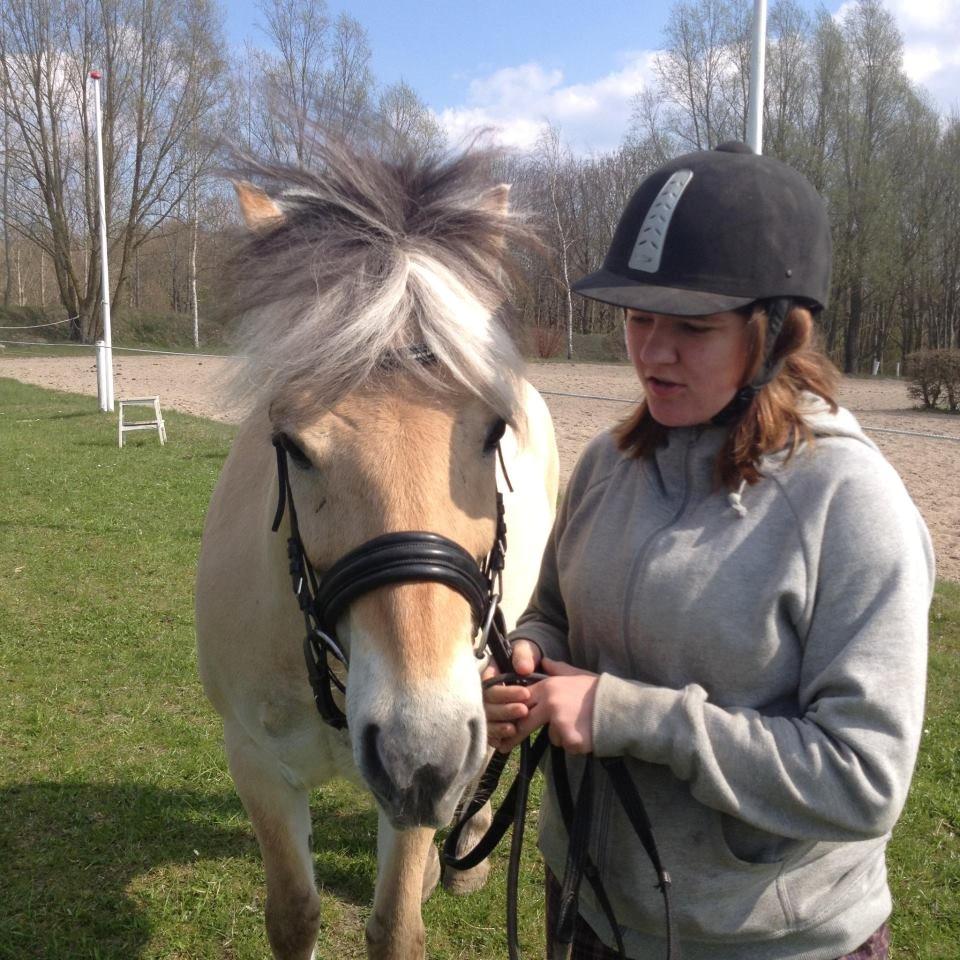 Fjordhest Bubber (Tidl. Part <3) billede 6