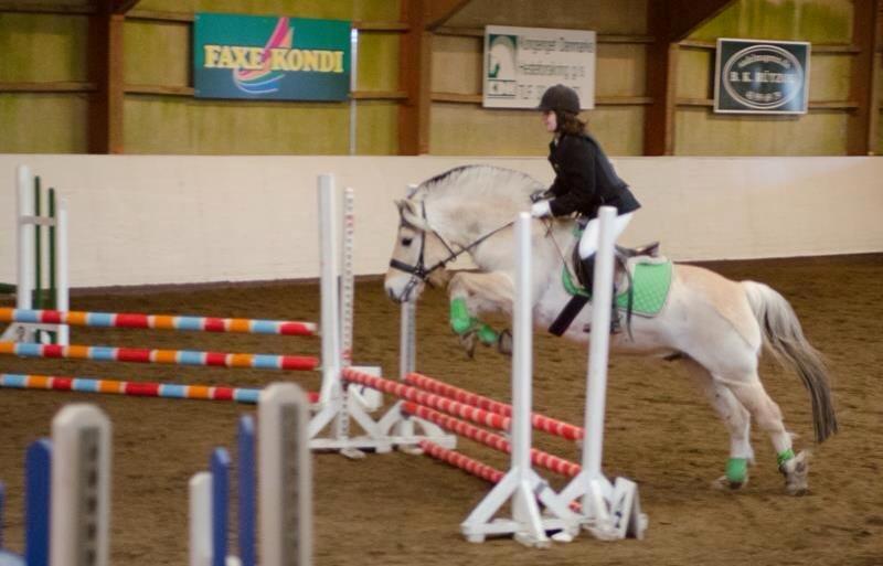 Fjordhest Bubber (Tidl. Part <3) billede 12