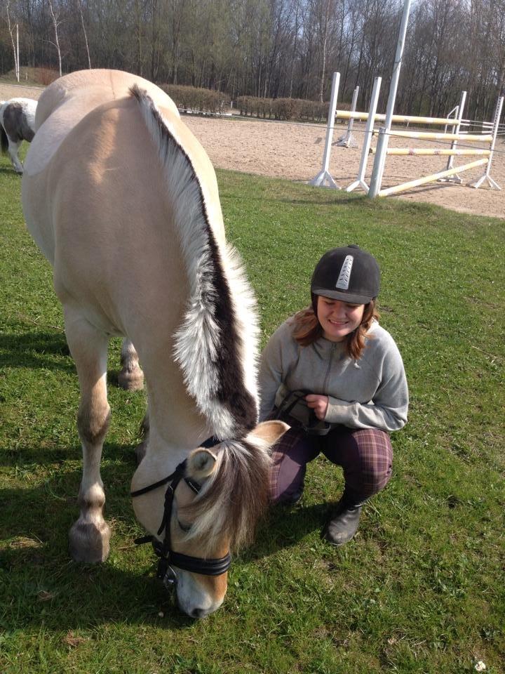 Fjordhest Bubber (Tidl. Part <3) billede 17