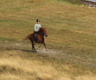 Islænder Fleygur frá Litlu-Sandvík (Flyve) - Galop på Draget. billede 17
