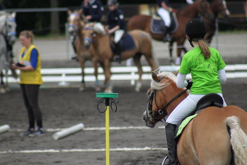 Haflinger Kim Van de mini Hoeve - Landsfinalerne i ponygames 2012. billede 20