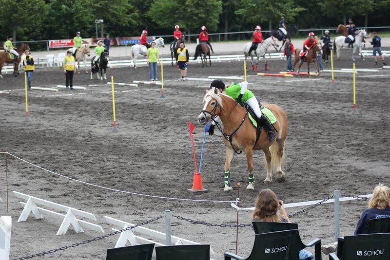 Haflinger Kim Van de mini Hoeve - Landsfinalerne i ponygames 2012. billede 6