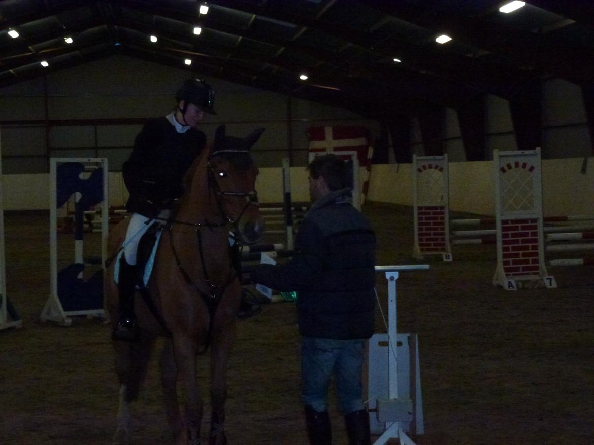 Anden særlig race Casmir billede 8